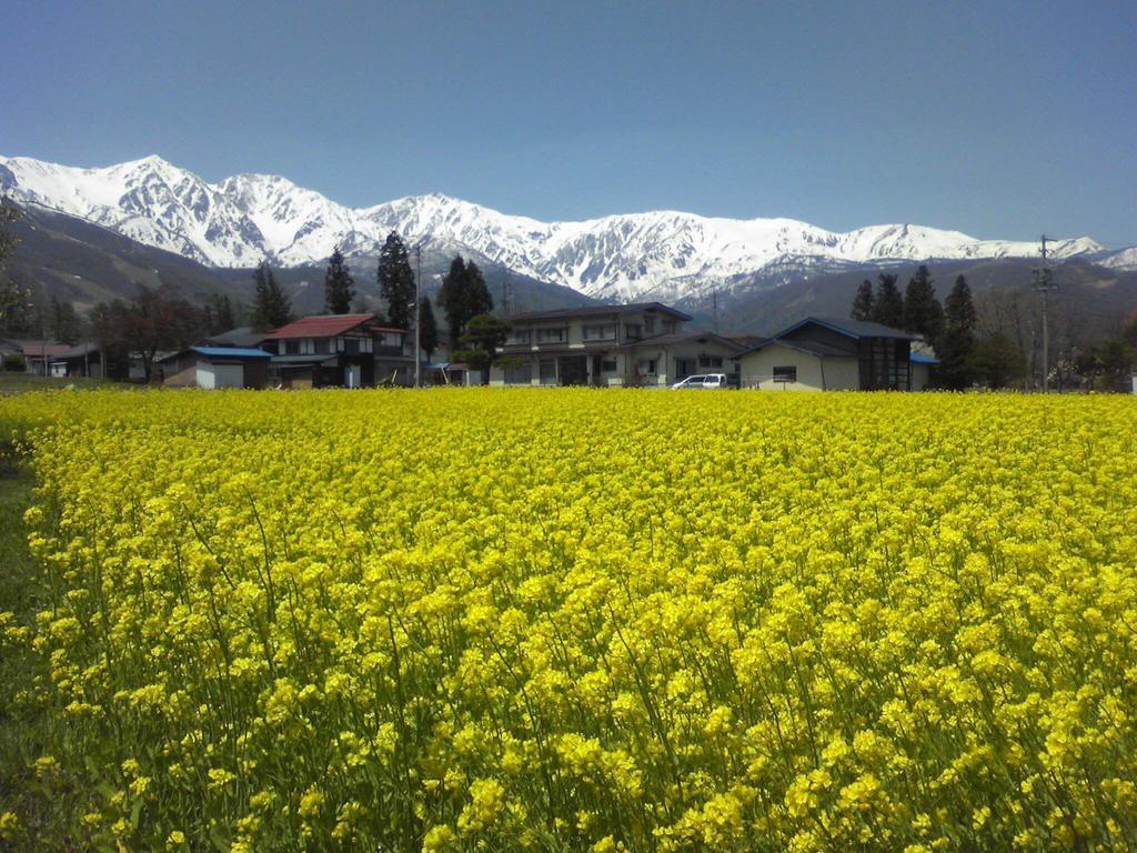 Holiday Cottage Green Valley Hakuba Luaran gambar